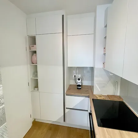 Apartament Leon Lublana