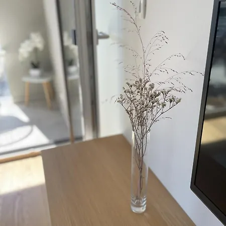 Leon Apartma Ljubljana